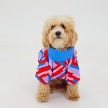 Görseli Galeri görüntüleyiciye yükleyin, Köpek Tulumu - Jumpsuit Series - Molly