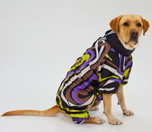 Görseli Galeri görüntüleyiciye yükleyin, Köpek Tulumu - Jumpsuit Series - Iconic