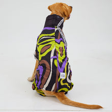 Görseli Galeri görüntüleyiciye yükleyin, Köpek Tulumu - Jumpsuit Series - Iconic