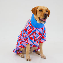 Görseli Galeri görüntüleyiciye yükleyin, Köpek Tulumu - Jumpsuit Series - Molly