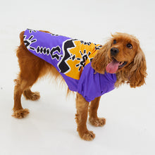 Görseli Galeri görüntüleyiciye yükleyin, Köpek Yağmurluk - Raincoat Series - Patbo