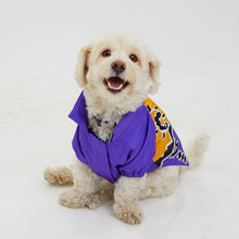 Görseli Galeri görüntüleyiciye yükleyin, Köpek Yağmurluk - Raincoat Series - Patbo