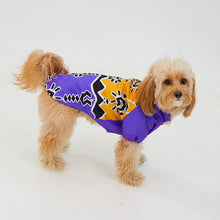 Görseli Galeri görüntüleyiciye yükleyin, Köpek Yağmurluk - Raincoat Series - Patbo