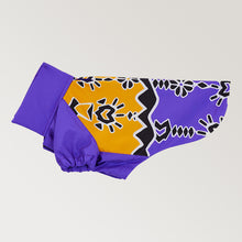 Görseli Galeri görüntüleyiciye yükleyin, Köpek Yağmurluk - Raincoat Series - Patbo