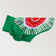 Görseli Galeri görüntüleyiciye yükleyin, Köpek Yağmurluk - Raincoat Series - Milano