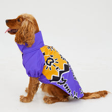 Görseli Galeri görüntüleyiciye yükleyin, Köpek Yağmurluk - Raincoat Series - Patbo