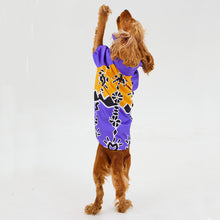 Görseli Galeri görüntüleyiciye yükleyin, Köpek Yağmurluk - Raincoat Series - Patbo