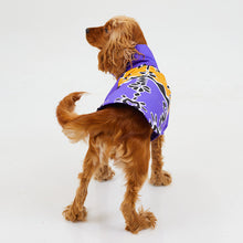 Görseli Galeri görüntüleyiciye yükleyin, Köpek Yağmurluk - Raincoat Series - Patbo