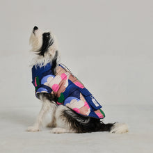 Görseli Galeri görüntüleyiciye yükleyin, Köpek Montu Polar - Puffer Series - Flawery