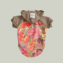 Görseli Galeri görüntüleyiciye yükleyin, Köpek Yağmurluk - Raincoat Series - Marji