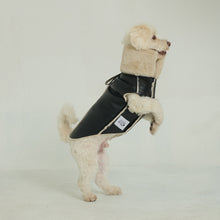Görseli Galeri görüntüleyiciye yükleyin, Nappa Köpek Montu - Nappa Leather Jacket