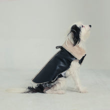 Görseli Galeri görüntüleyiciye yükleyin, Nappa Köpek Montu - Nappa Leather Jacket