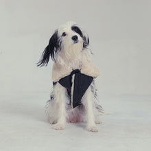 Görseli Galeri görüntüleyiciye yükleyin, Nappa Köpek Montu - Nappa Leather Jacket