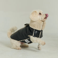 Görseli Galeri görüntüleyiciye yükleyin, Nappa Köpek Montu - Nappa Leather Jacket