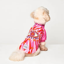 Görseli Galeri görüntüleyiciye yükleyin, Köpek kıyafetleri- Köpek yağmurluğu- GODOİST