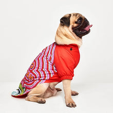 Görseli Galeri görüntüleyiciye yükleyin, Köpek kıyafetleri- Köpek yağmurluğu - GODOİST