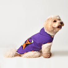 Görseli Galeri görüntüleyiciye yükleyin, Pancho Series - Purple - GODOİST