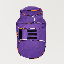 Görseli Galeri görüntüleyiciye yükleyin, Pancho Series - Purple - GODOİST