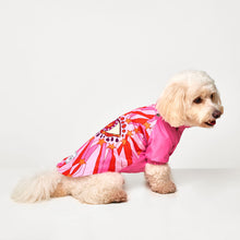 Görseli Galeri görüntüleyiciye yükleyin, Köpek kıyafetleri- Köpek yağmurluğu- GODOİST