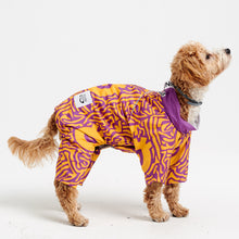 Görseli Galeri görüntüleyiciye yükleyin, Köpek kıyafeti - köpek tulumu - GODOİST