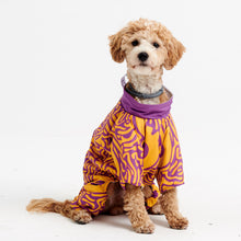 Görseli Galeri görüntüleyiciye yükleyin, Köpek kıyafeti - köpek tulumu - GODOİST