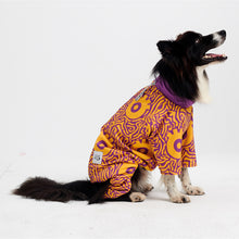 Görseli Galeri görüntüleyiciye yükleyin, Köpek kıyafeti - köpek tulumu - GODOİST