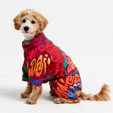 Görseli Galeri görüntüleyiciye yükleyin, Köpek kıyafeti - köpek tulumu - GODOİST