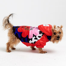 Görseli Galeri görüntüleyiciye yükleyin, Köpek kıyafetleri- Köpek yağmurluğu- GODOİST
