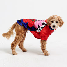 Görseli Galeri görüntüleyiciye yükleyin, Köpek kıyafetleri- Köpek yağmurluğu- GODOİST