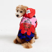 Görseli Galeri görüntüleyiciye yükleyin, Köpek kıyafetleri- Köpek yağmurluğu- GODOİST