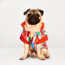 Görseli Galeri görüntüleyiciye yükleyin, köpek kıyafeti - köpek montu - GODOİST