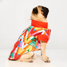 Görseli Galeri görüntüleyiciye yükleyin, köpek kıyafeti - köpek montu - GODOİST