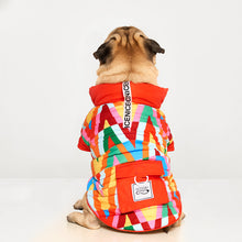 Görseli Galeri görüntüleyiciye yükleyin, köpek kıyafeti - köpek montu - şişme köpek mont GODOİST