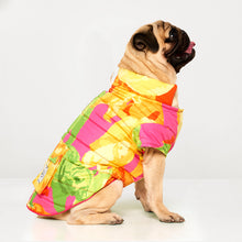 Load image into Gallery viewer, Köpek kıyafeti - köpek montu - GODOİST