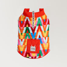 Görseli Galeri görüntüleyiciye yükleyin, köpek kıyafeti - köpek montu - şişme köpek montuGODOİST