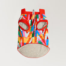 Görseli Galeri görüntüleyiciye yükleyin, köpek kıyafeti - köpek montu - şişme köpek montuGODOİST