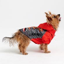 Görseli Galeri görüntüleyiciye yükleyin, Köpek kıyafetleri- Köpek yağmurluğu- GODOİST
