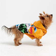 Görseli Galeri görüntüleyiciye yükleyin, Köpek kıyafetleri- Köpek yağmurluğu- GODOİST