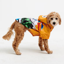 Görseli Galeri görüntüleyiciye yükleyin, Köpek kıyafetleri- Köpek yağmurluğu- GODOİST