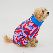 Load image into Gallery viewer, Dog Jumpsuit - Jumpsuit Series - Molly
