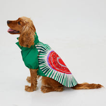 Görseli Galeri görüntüleyiciye yükleyin, Köpek Yağmurluk - Raincoat Series - Milano

