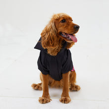 Görseli Galeri görüntüleyiciye yükleyin, Köpek Yağmurluk - Raincoat Series - Love
