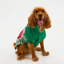 Görseli Galeri görüntüleyiciye yükleyin, Köpek Yağmurluk - Raincoat Series - Milano
