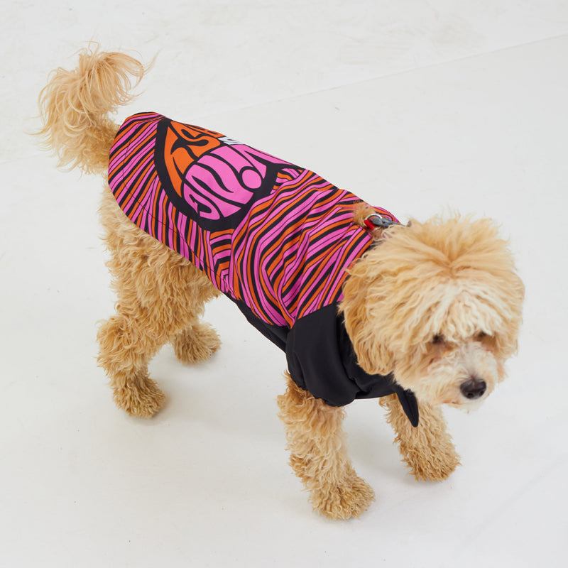 Köpek Yağmurluk - Raincoat Series - Love