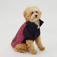 Görseli Galeri görüntüleyiciye yükleyin, Köpek Yağmurluk - Raincoat Series - Love
