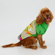Görseli Galeri görüntüleyiciye yükleyin, Köpek Yağmurluk - Raincoat Series - Together
