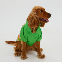 Görseli Galeri görüntüleyiciye yükleyin, Köpek Yağmurluk - Raincoat Series - Together
