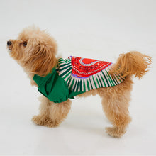 Görseli Galeri görüntüleyiciye yükleyin, Köpek Yağmurluk - Raincoat Series - Milano
