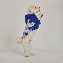 Görseli Galeri görüntüleyiciye yükleyin, Köpek Yağmurluk - Raincoat Series -Flafy

