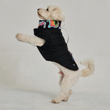 Görseli Galeri görüntüleyiciye yükleyin, Köpek Montu Polar - Puffer Series - Funy Black
